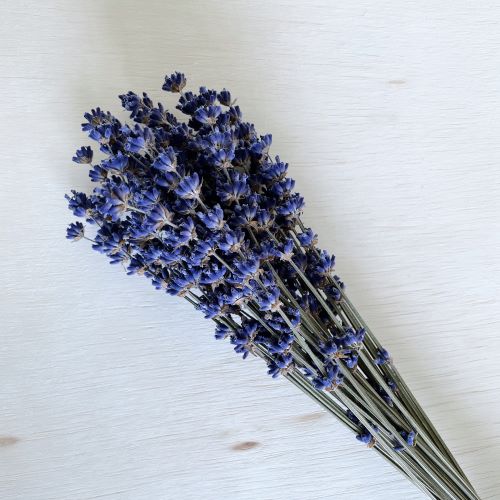 Bulk Dried Lavendar Flowers Bundles