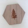 Douglas Fir Coaster