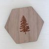 Douglas Fir Coaster